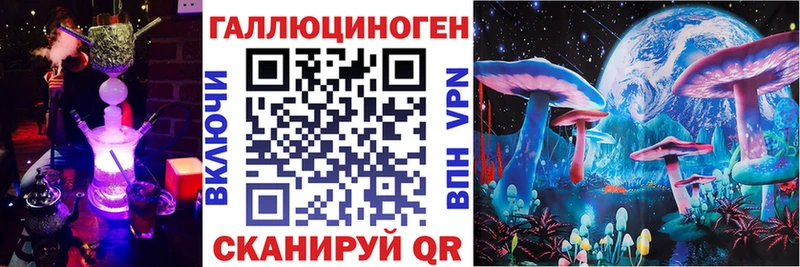 мега как войти купить наркотик Новоульяновск Псилоцибиновые грибы прущие грибы